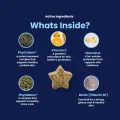GoShine CHEWS - Whats Inside