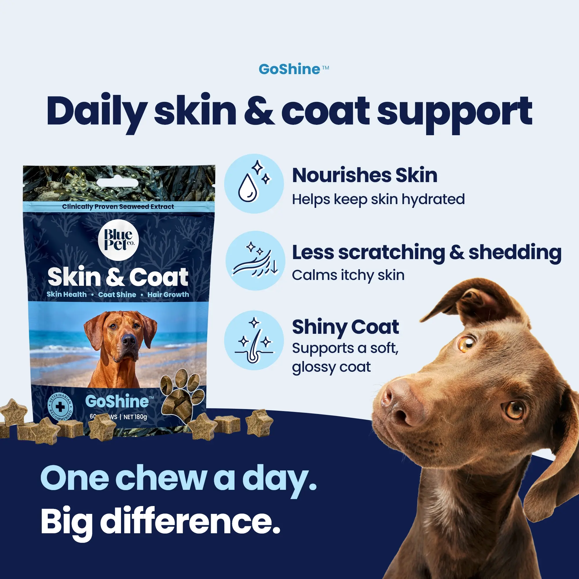GoShine CHEWS GoShine CHEWS
