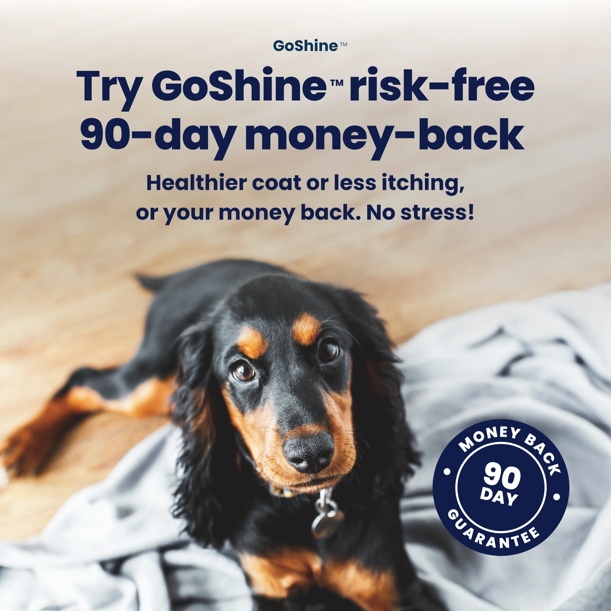 GoShine Guarantee GoShine Guarantee