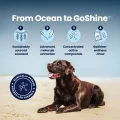 GoShine in Action