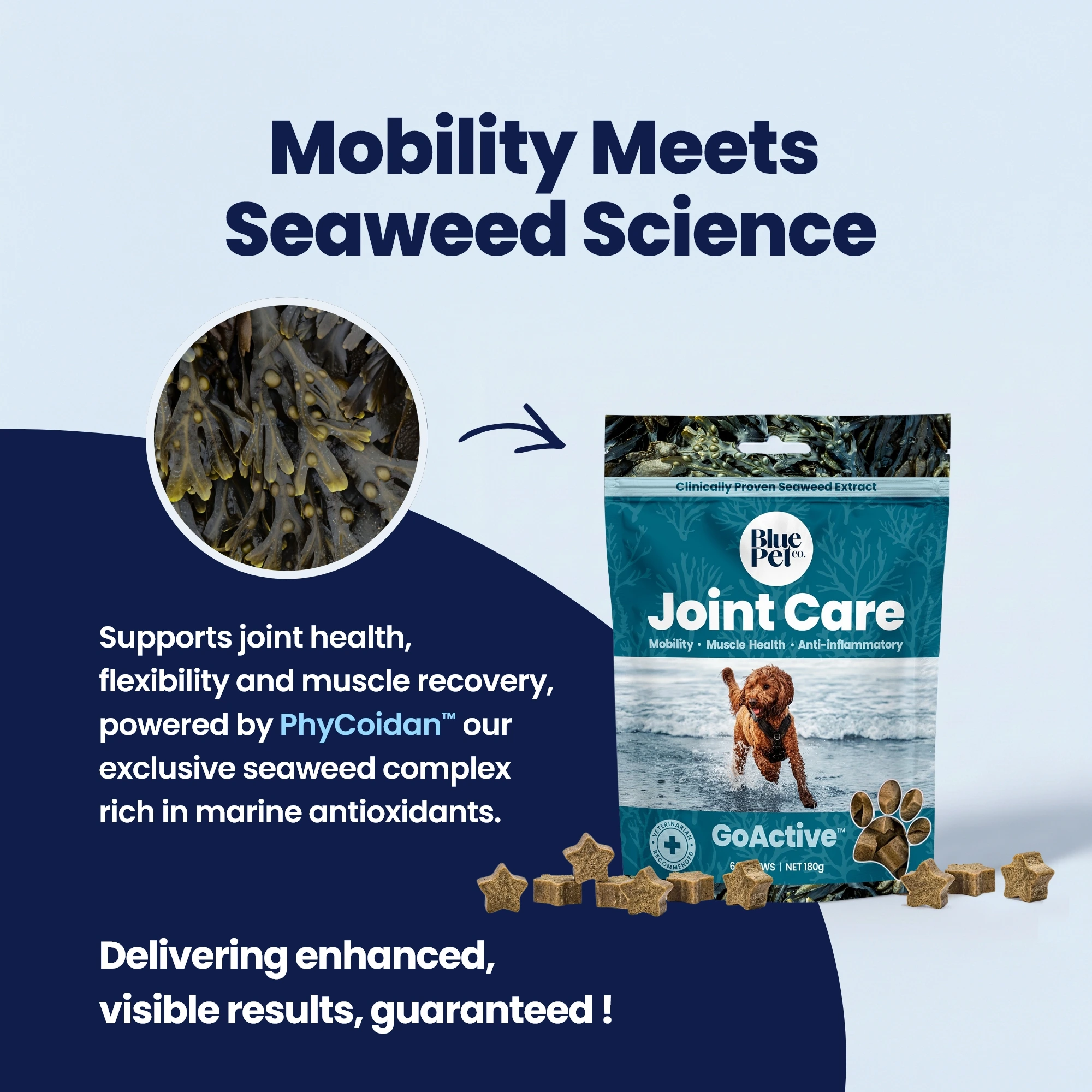 GoActive CHEWS - 1 Seaweeds GoActive CHEWS - 1 Seaweeds