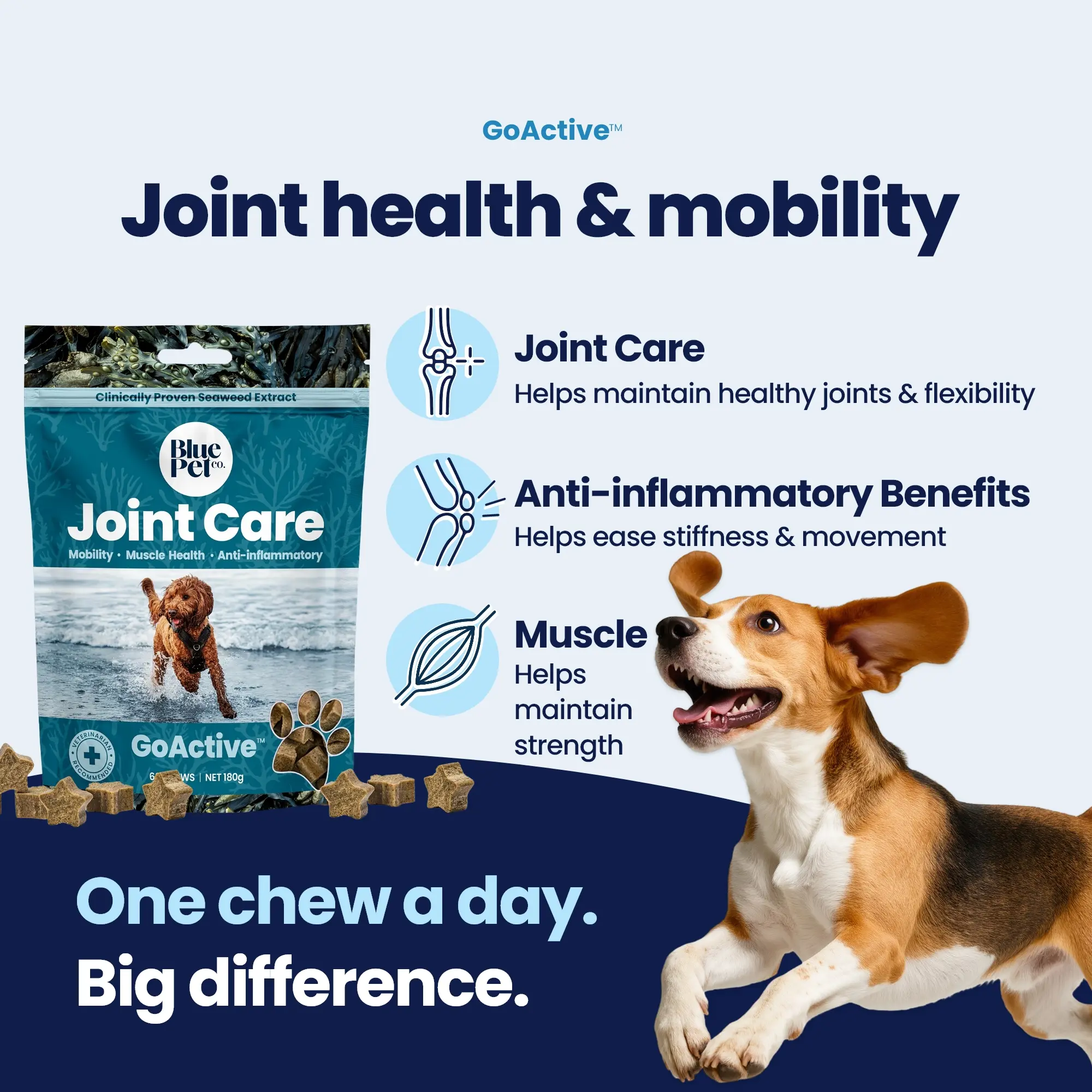 GoActive CHEWS img1 (1) GoActive CHEWS img1 (1)