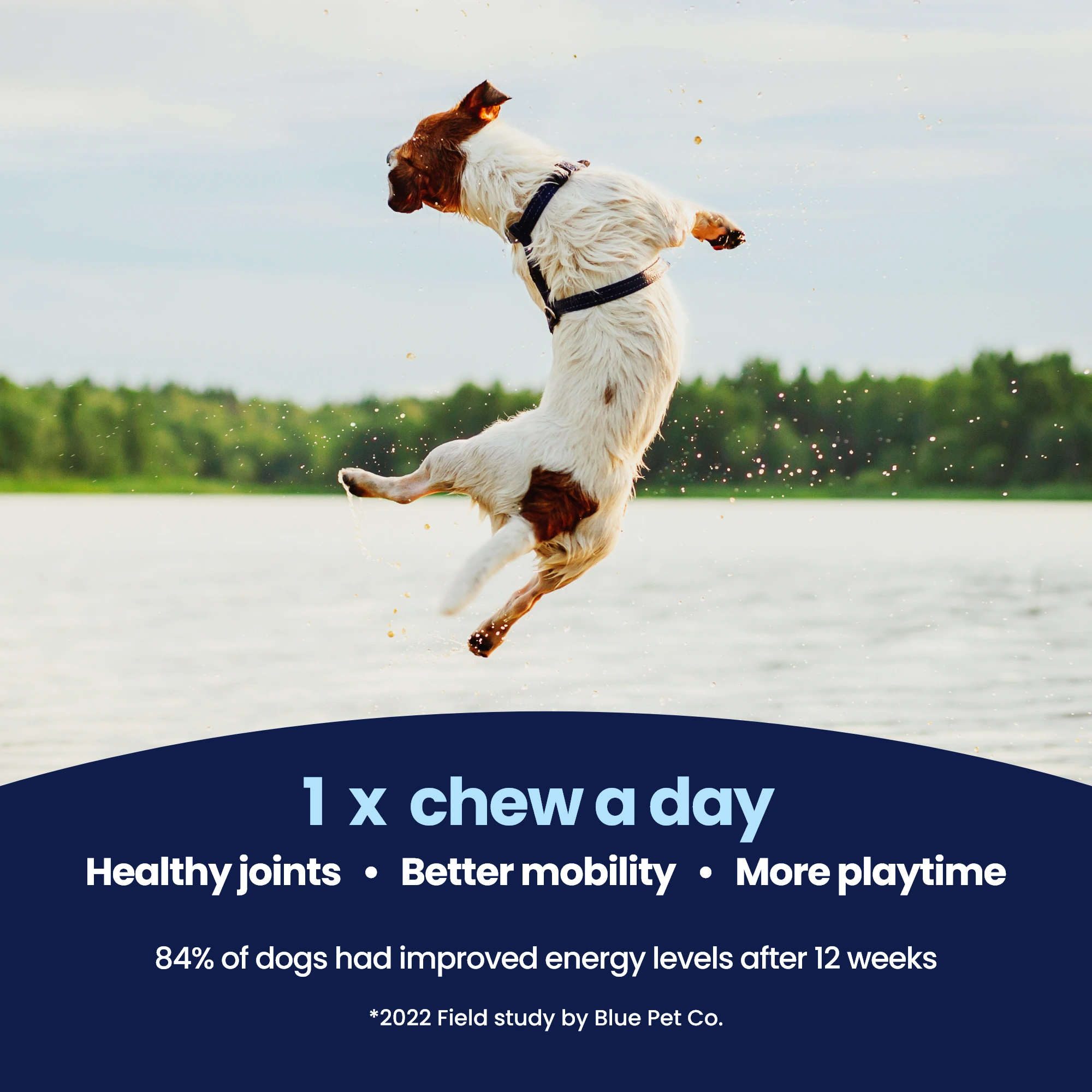 GoActive CHEWS img2 NEW GoActive CHEWS img2 NEW
