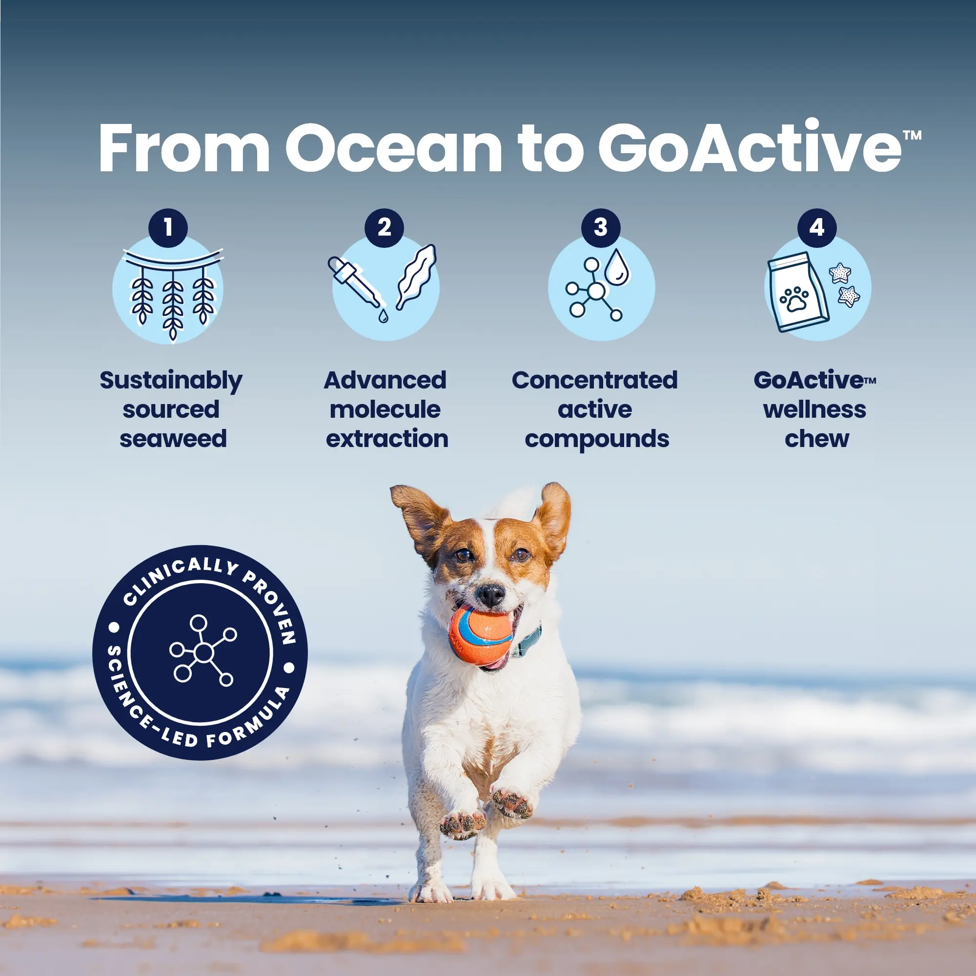 GoActive Ocean to GoActive GoActive Ocean to GoActive