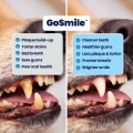 GoSmile - B&A
