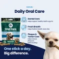 GoSmile CHEWS img1 (1)