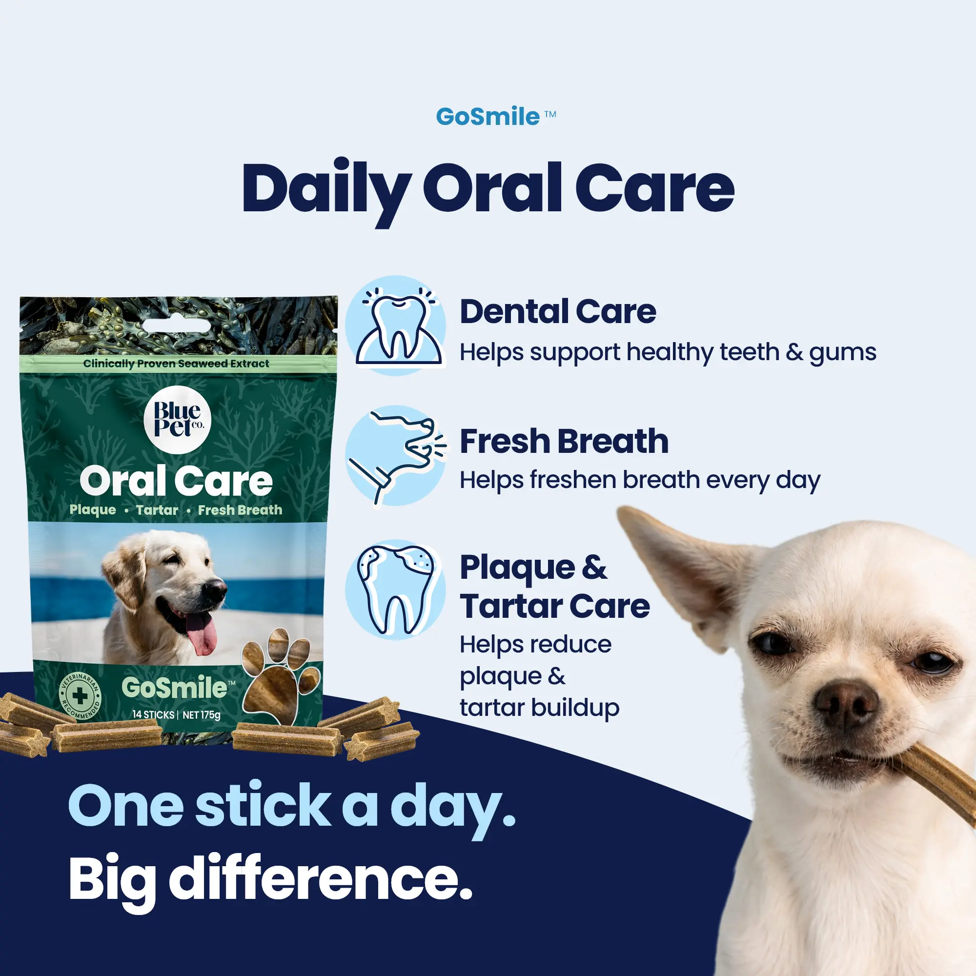 GoSmile CHEWS img1 (1) GoSmile CHEWS img1 (1)
