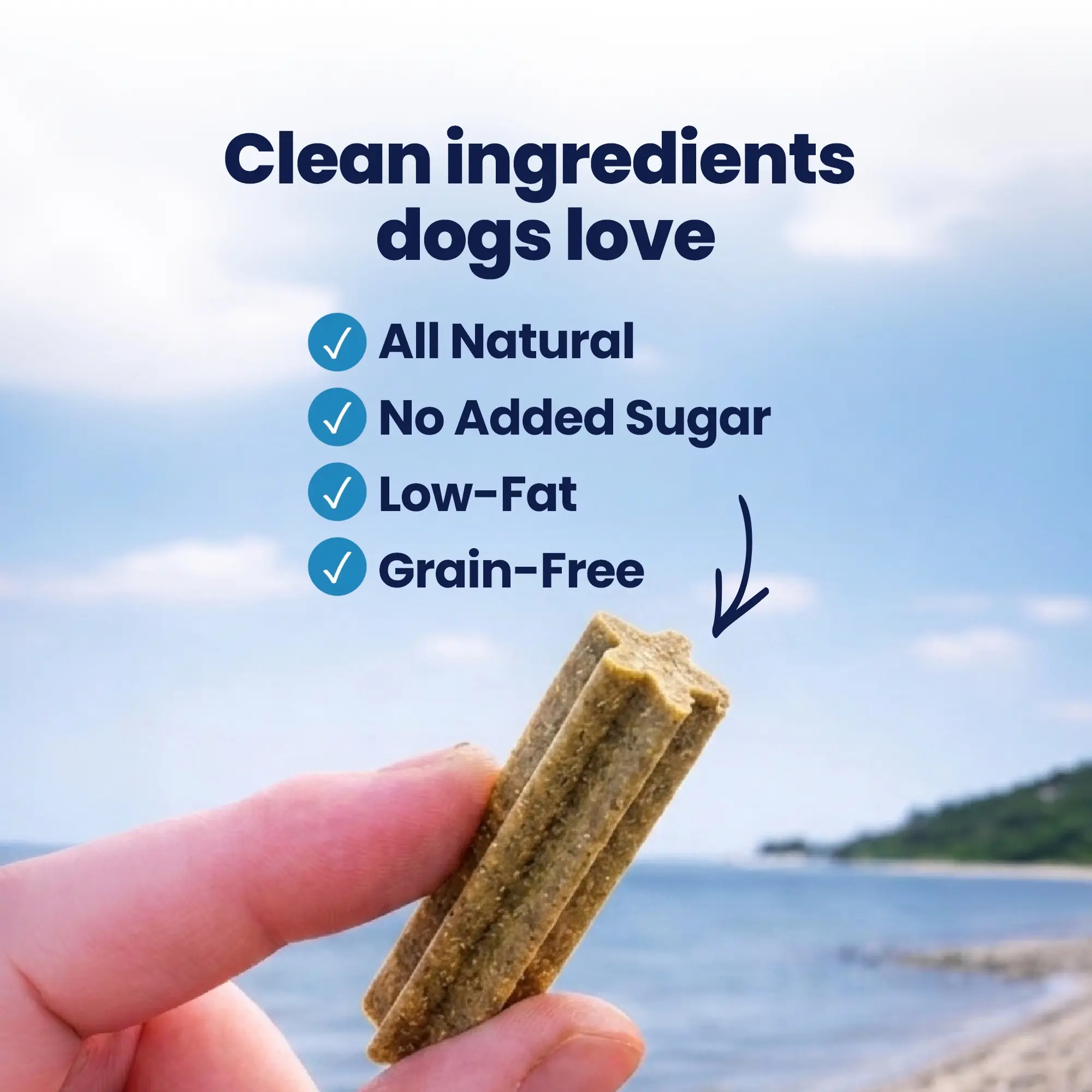 GoSmile - Clean ingredients GoSmile - Clean ingredients