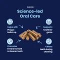 GoSmile POWDER - Science Led – 1