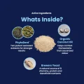 GoSmile POWDER - Whats inside