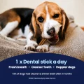 GoSmile - Vet – 1