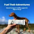 GoFuel-Fuel-their-1[1]