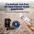 GoFuel-Guarantee[1]