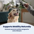 GoFuel-Happy-Dogs[1]