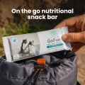 GoFuel-On-the-go[1]