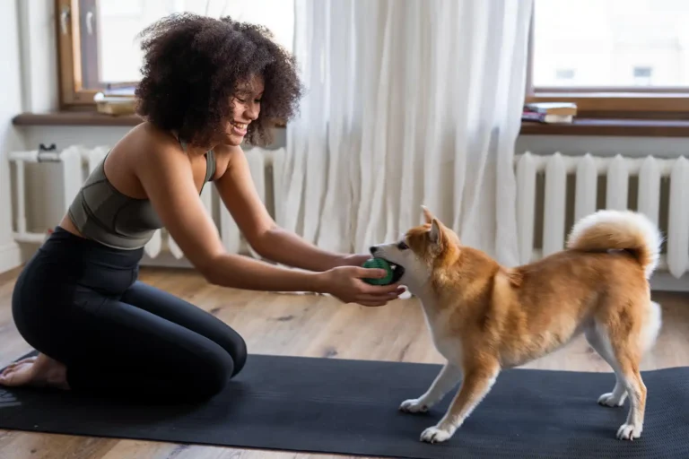 Wellness for your dog