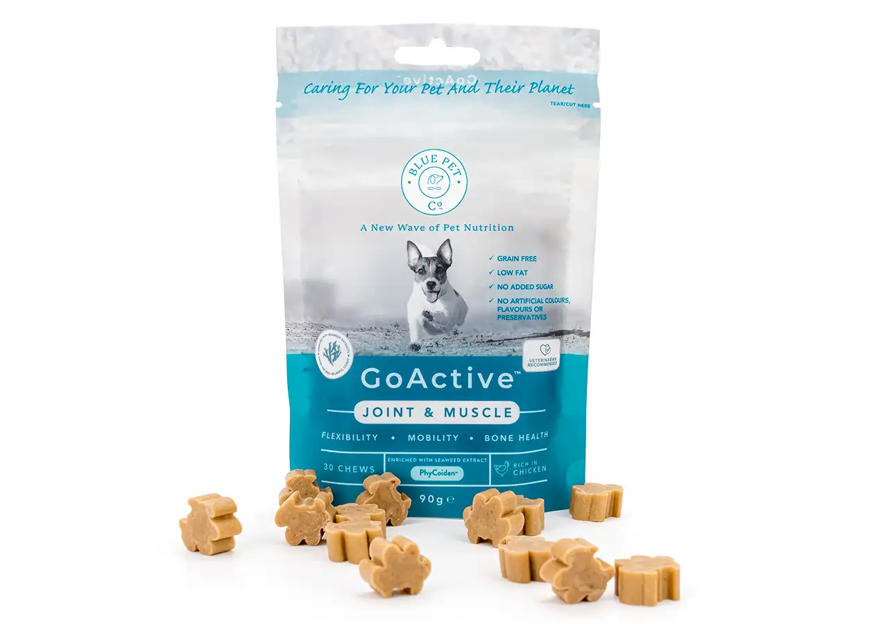 Go dog go supplement sale