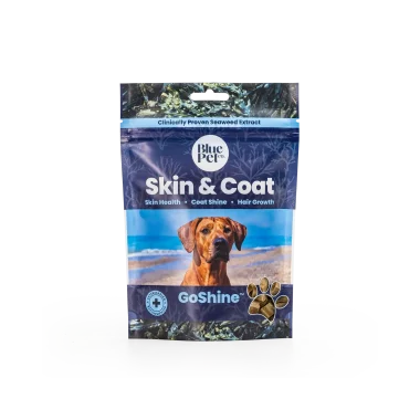 GoShine™ WP Extra - 30 chews