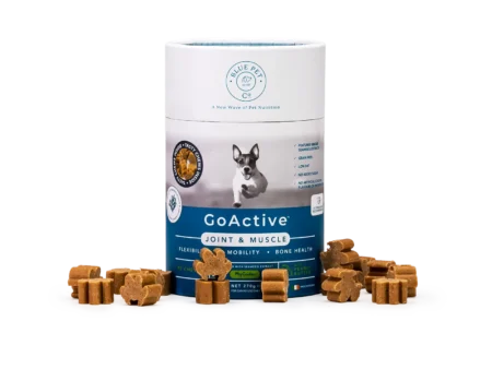 GoActive<sup>™</sup> - Peanut Butter, 90 Chews