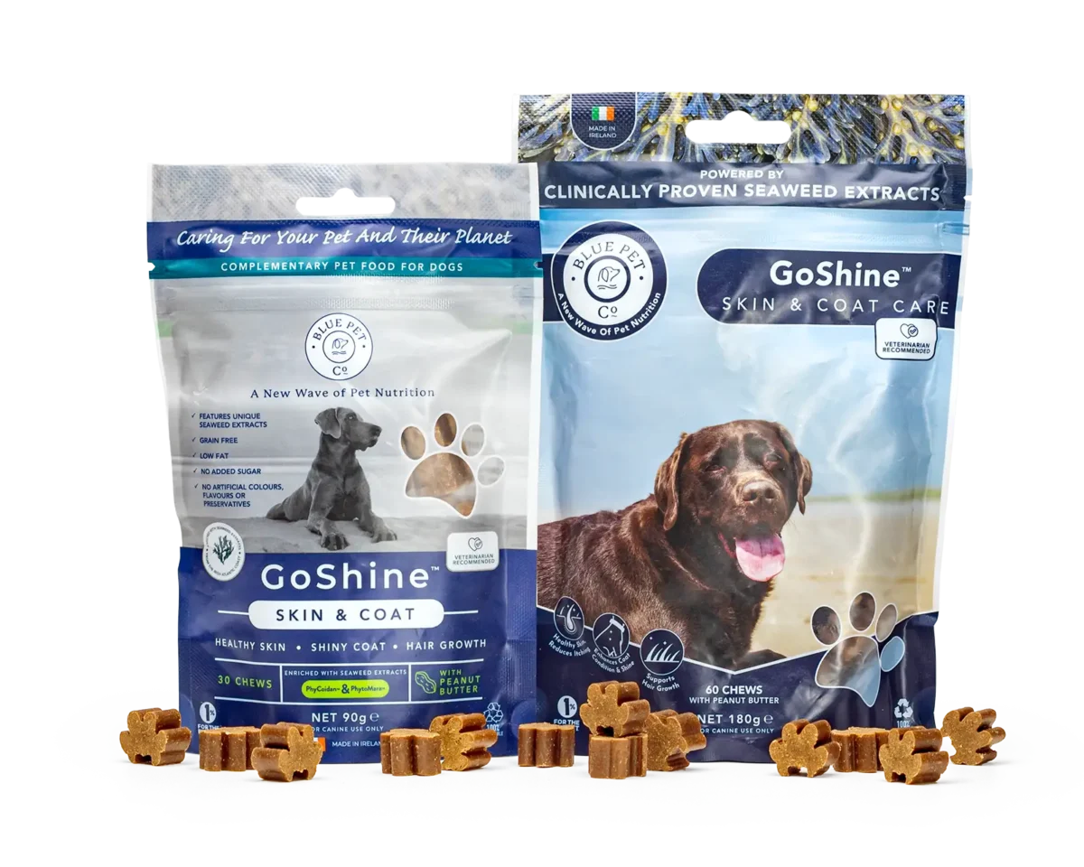 BluePetCo - GoShine Peanut Butter - 30 and 60 chews Pouches with chews