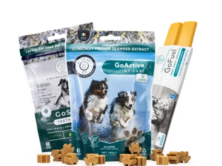 The 3-Month Mobility Transformation Bundle