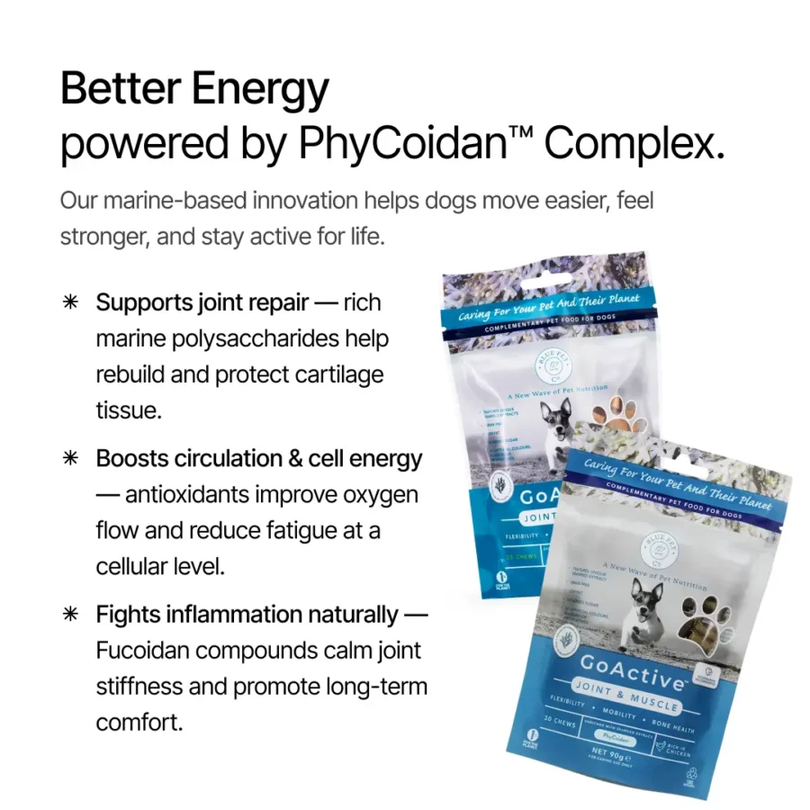 BPC GoActive - BF product img-03 BPC GoActive - BF product img-03