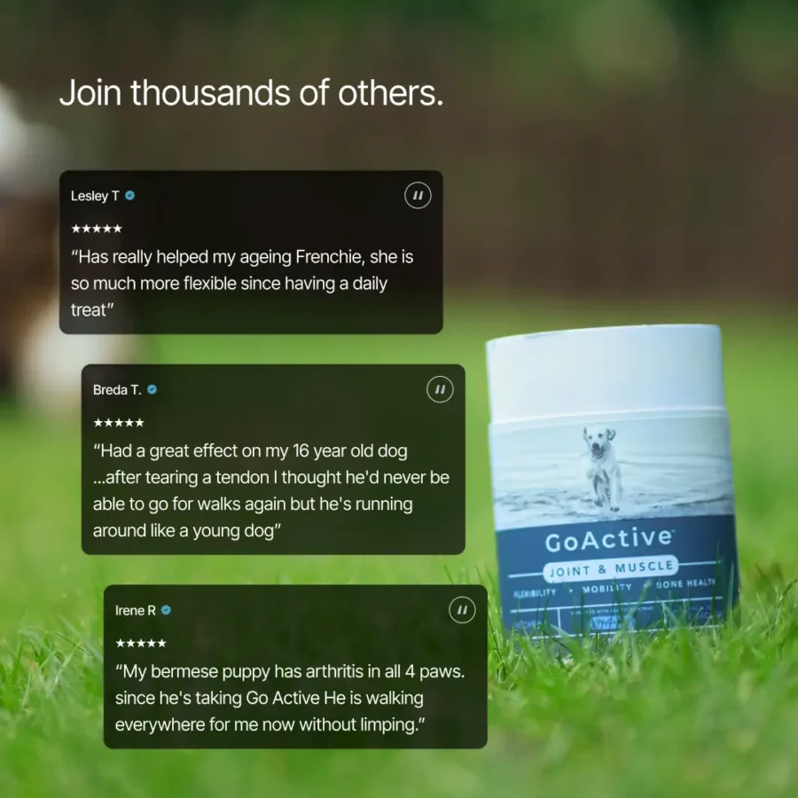 BPC GoActive - BF product img-04b BPC GoActive - BF product img-04b