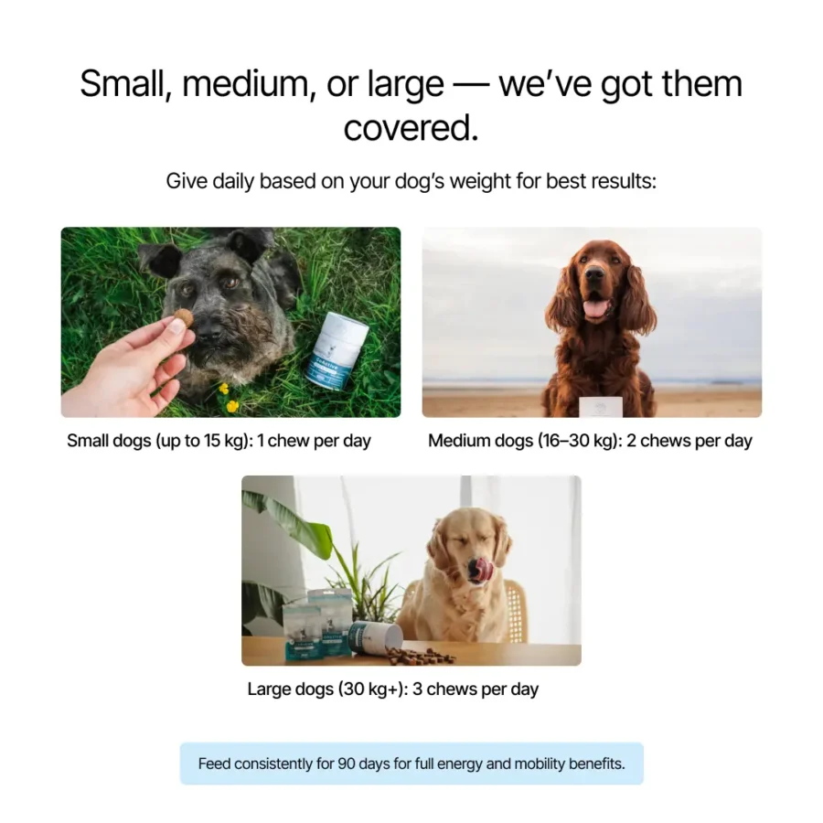 BPC GoActive - BF product img-08 BPC GoActive - BF product img-08