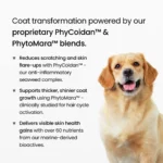 BPC GoShine - BF product img-03