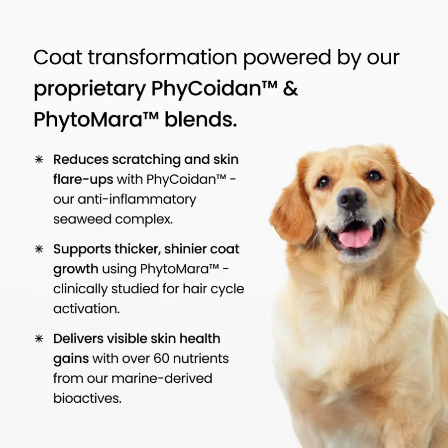 BPC GoShine - BF product img-03 BPC GoShine - BF product img-03