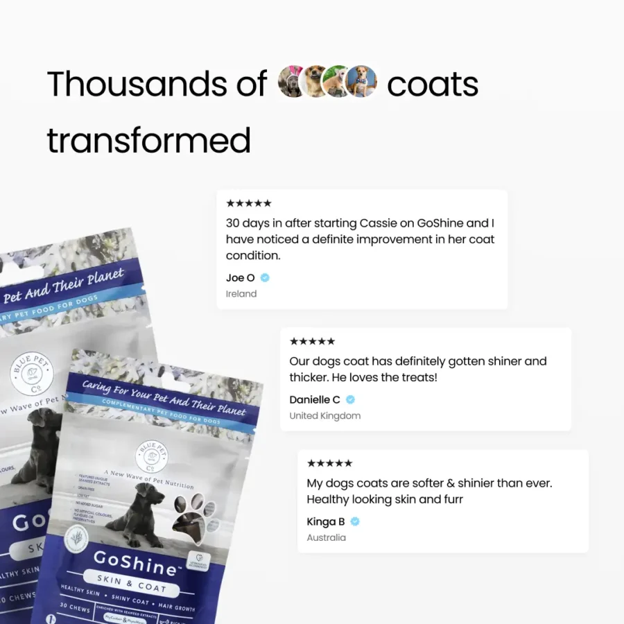 BPC GoShine - BF product img-04b BPC GoShine - BF product img-04b