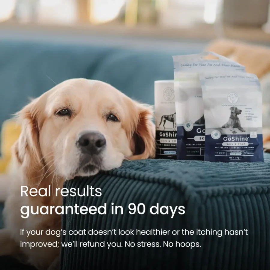 BPC GoShine - BF product img-08 BPC GoShine - BF product img-08