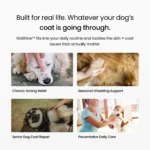 BPC GoShine - BF product img-09