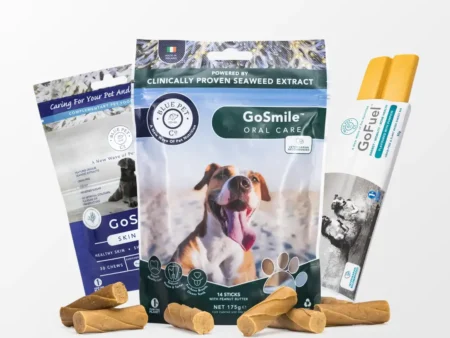 The 90 Day Smile Transformation Bundle