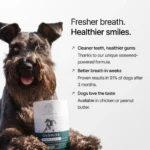 BPC GoSmile - BF product img-02