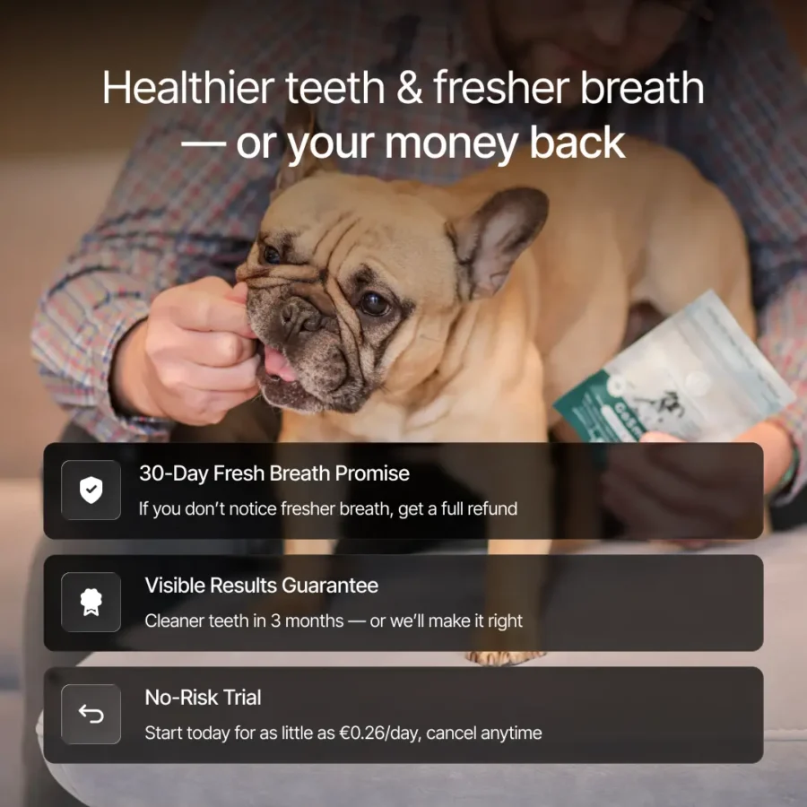 BPC GoSmile - BF product img-05 BPC GoSmile - BF product img-05