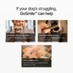 BPC GoSmile - BF product img-06