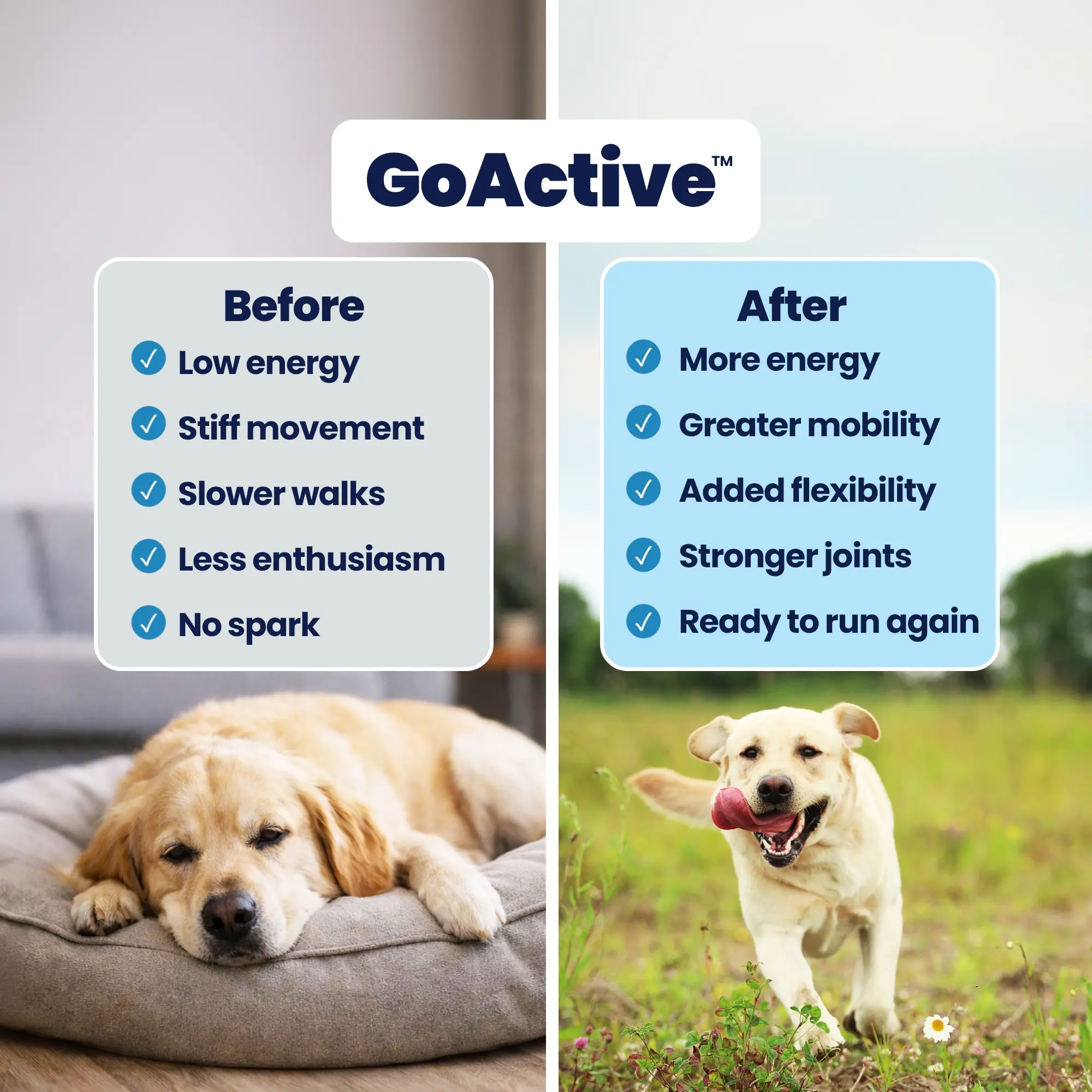 GoActive B&A GoActive B&A