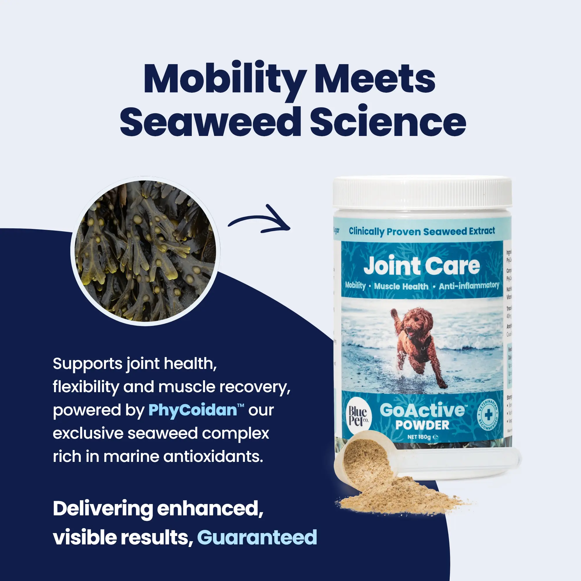 GoActive POWDER - 1 Seaweed GoActive POWDER - 1 Seaweed
