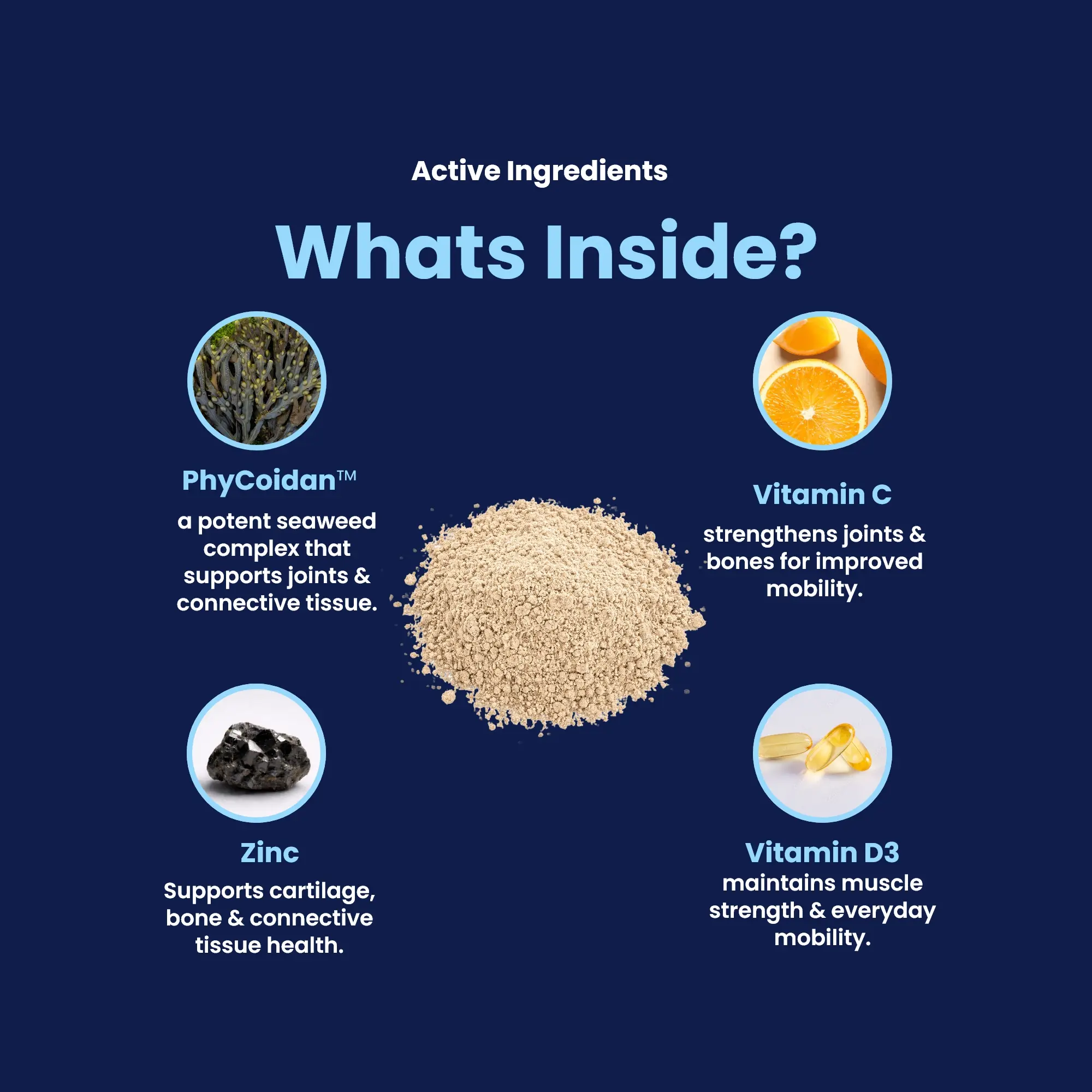GoActive POWDER - Whats Inside GoActive POWDER - Whats Inside