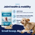 GoActive POWDER img1