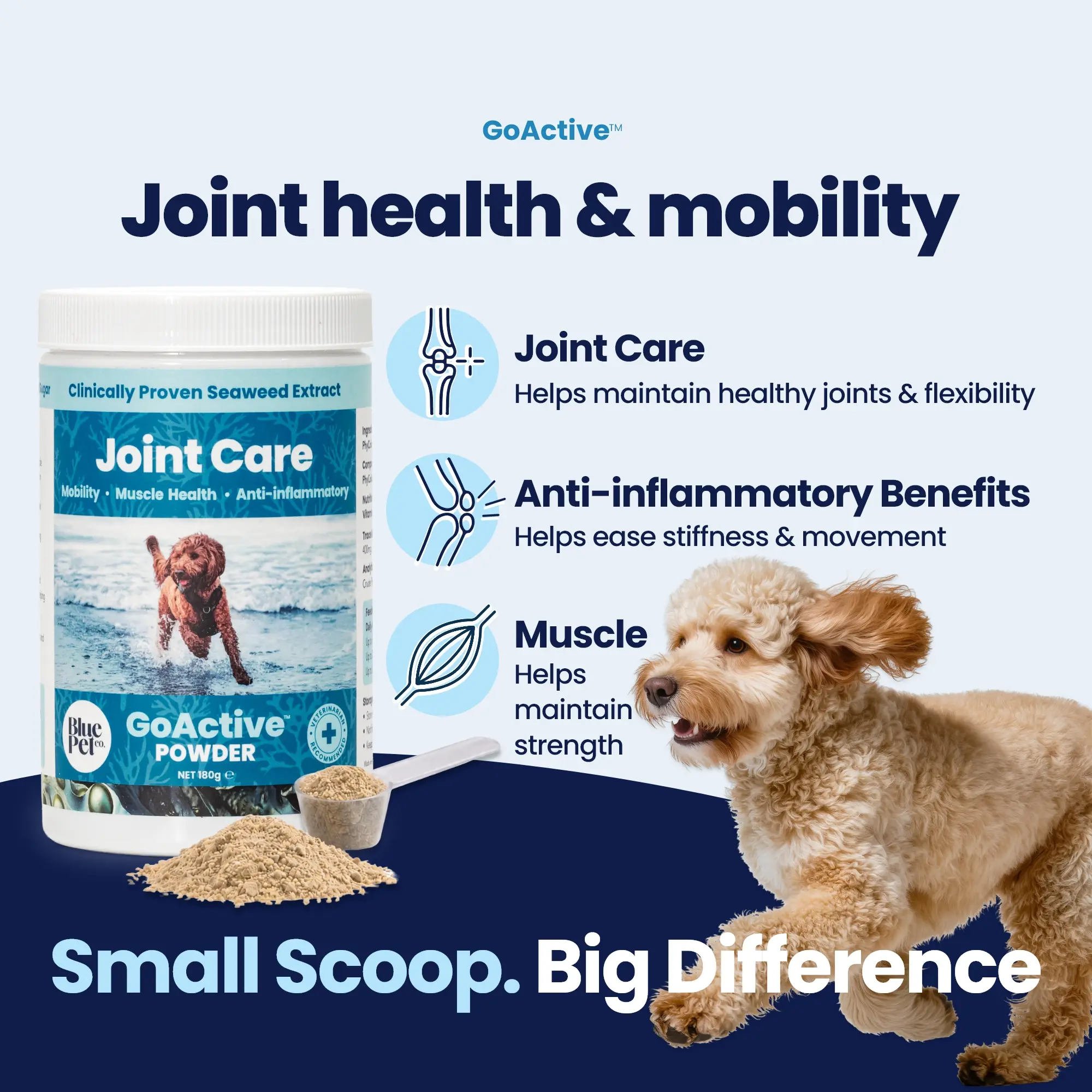 GoActive POWDER img1 GoActive POWDER img1