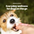 GoActive Chews Wellness Plan