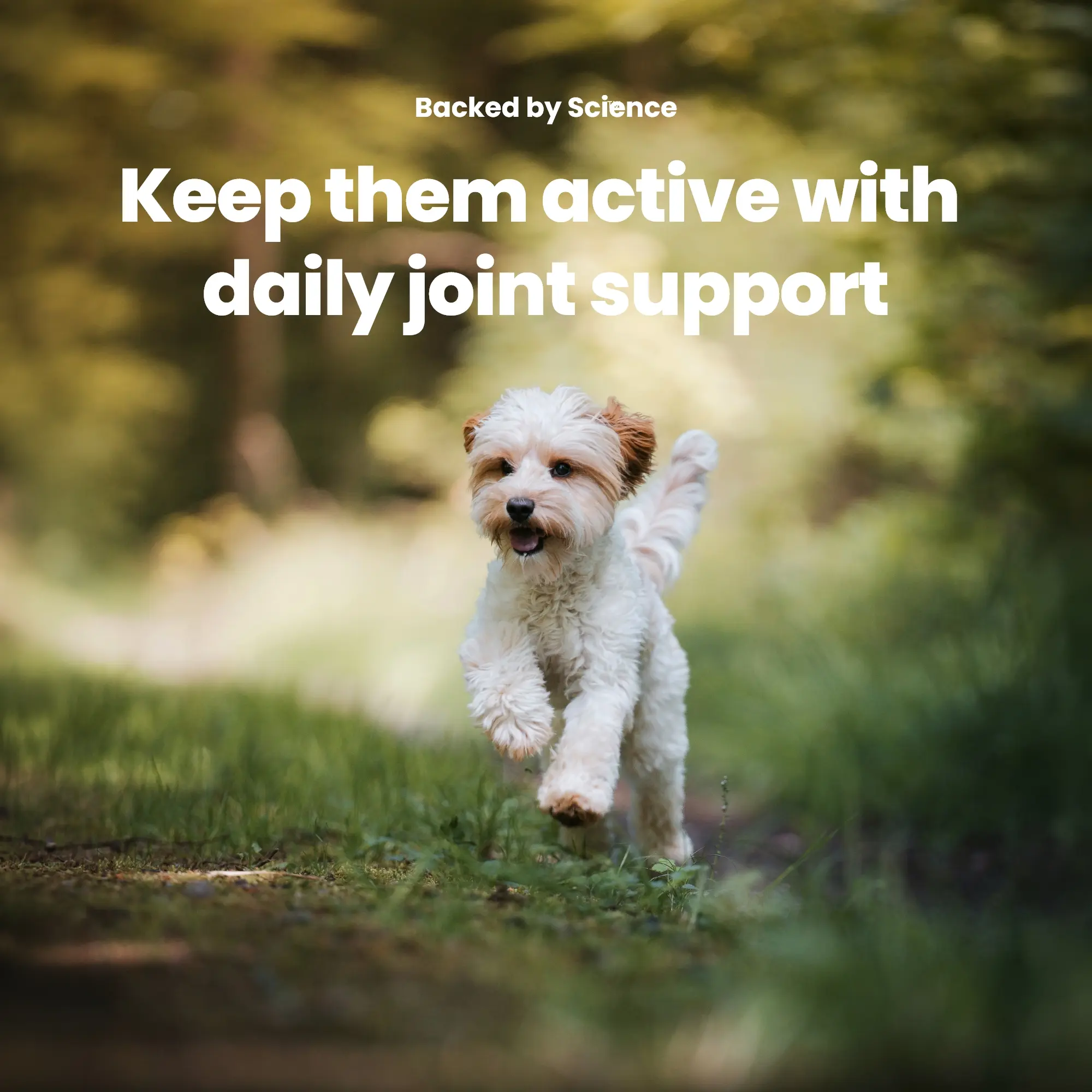 GoActive POWDER GoActive POWDER