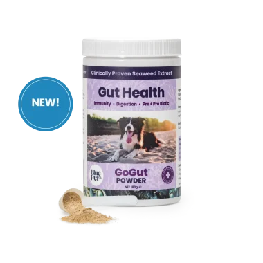 GoGut™ Powder
