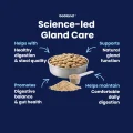 GoGland - Science LED