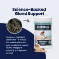 GoGland - Seaweed 1