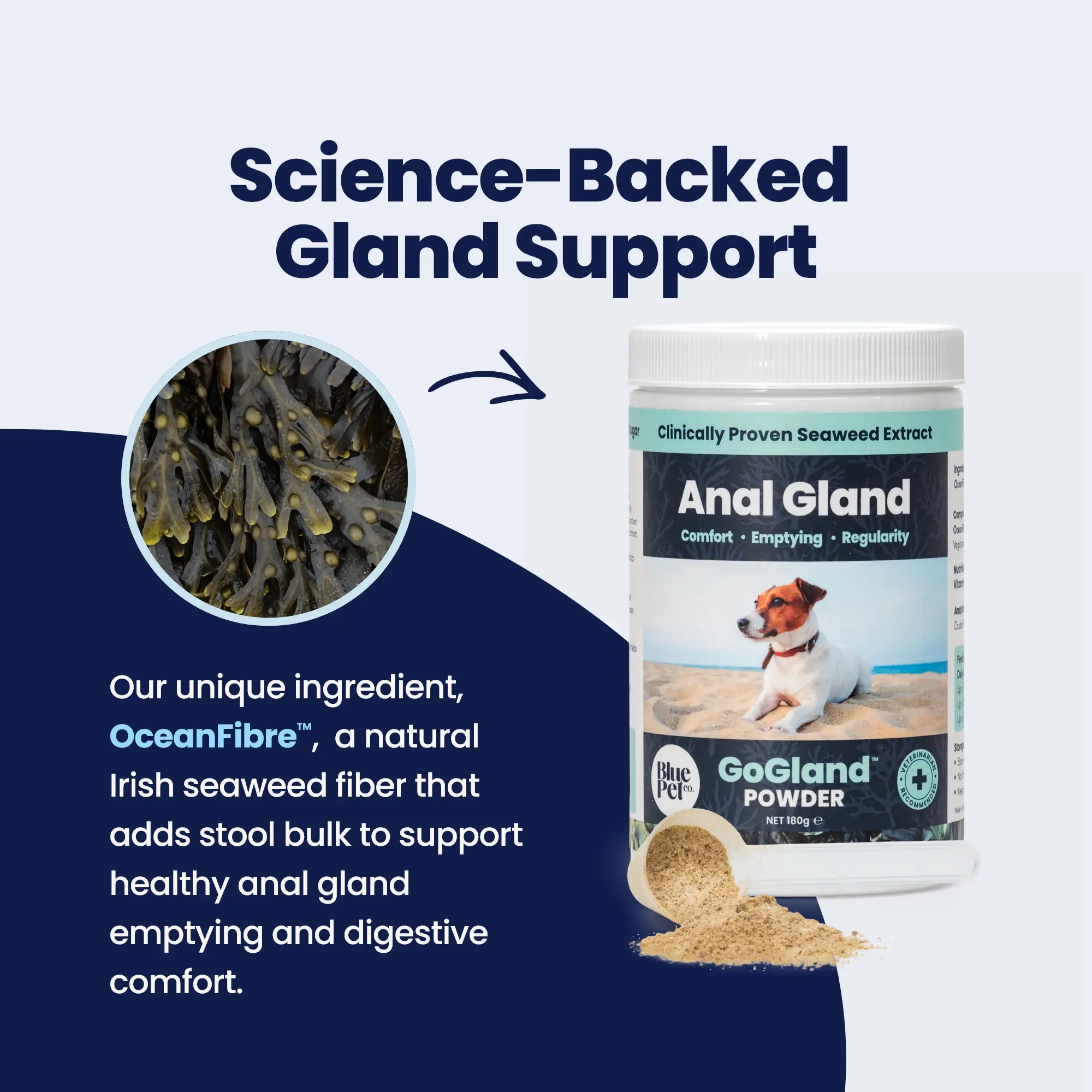 GoGland - Seaweed 1 GoGland - Seaweed 1