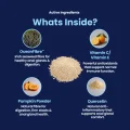 GoGland - Whats inside