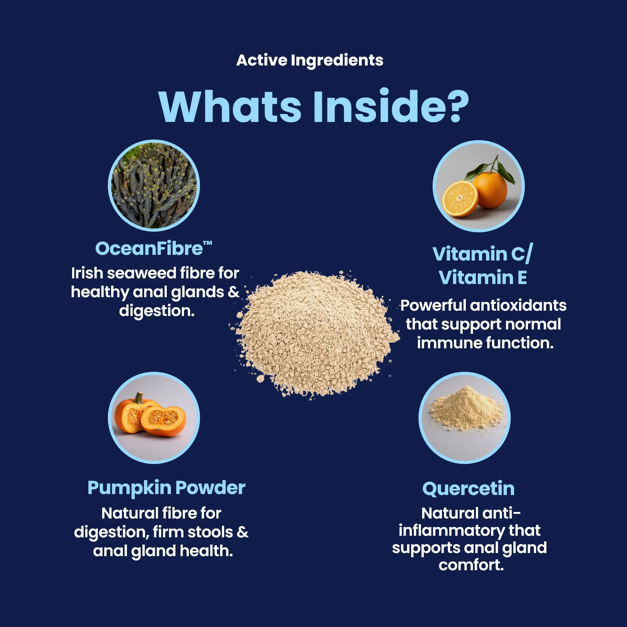 GoGland - Whats inside GoGland - Whats inside